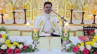 Sunday Holy Mass August  04  5.30 AM I Malayalam I Syro Malabar I Fr Bineesh Augustine