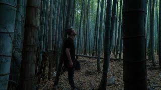 Bamboo Forest Kyoto