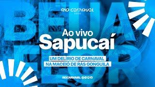 BEIJA-FLOR - AO VIVO CARNAVAL 2024 - Sambas de Enredo (Lyric Video Oficial)