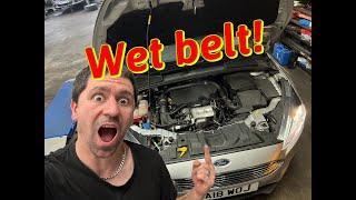 1L Ford Eco boost wet timing belt replacement ##FULL GUIDE##