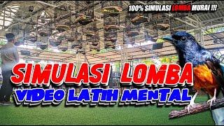 SIMULASI LOMBA MURAI MASTERAN GACOR PANCING BIRAHI 