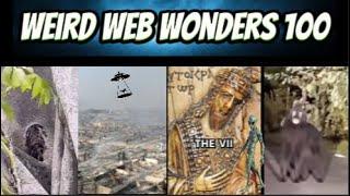 weird web wonders 100