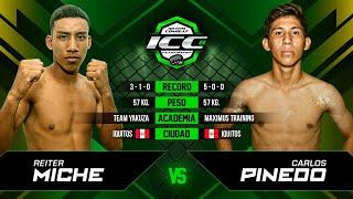 ICC 8: Miche vs. Pinedo