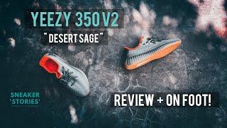 Adidas Yeezy Boost 350V2 'Desert Sage' (Review + On Foot)