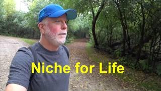 Taiwan Travel, Retired Life, and Why I Say 'Niche' the Right Way