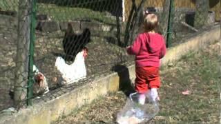 Jessi Eat With The Neighbour Chicken 1