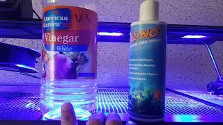 Controlling Nitrates (NO3) Successfully in Reef Tank