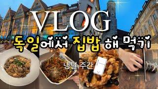 Eng)독일vlog | 독일에서 집밥 해 먹기 (짜장면, 탕수육, 배추된장국, 부세보리굴비, 매콤 어묵김밥, 투움바 파스타, 감바스), 냉장고 털이 주간, 나폴리 피자 맛집