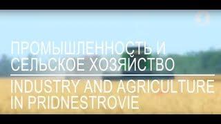 Фильм "Промышленность и сельское хозяйство в Приднестровье"