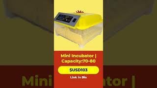 Efficient Mini Incubator for Successful Egg Hatching