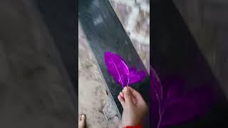 # purple land video