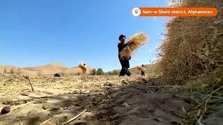 Drought deepens humanitarian crisis in Afghanistan