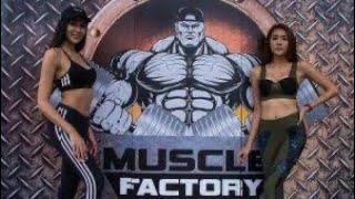 Pattaya’s best gym , muscle factory