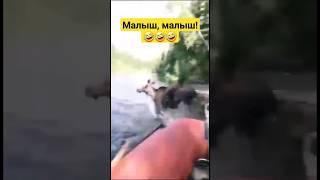 Как насчёт малыша в лодке?)) #тайга #река #сибирь #путешествие #россия #юмор #рыбалка #экстрим #2024