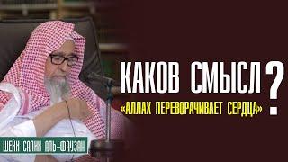 Шейх Салих аль Фаузан. "Аллах переворачивает сердца" Каков смысл?