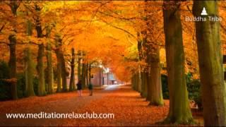 Thanksgiving - Thanksgiving Dinner Music, Thanksgiving Day Background Music