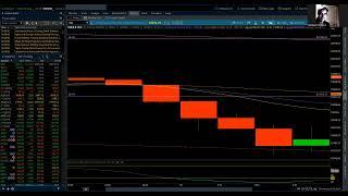 NASDAQ 100 & S&P 500 / Elliott Wave Daily 7/22/2024 by Michael Filighera