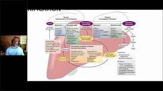 Detoxification In Clinical Practice  Phase 1 vs  Phase 2