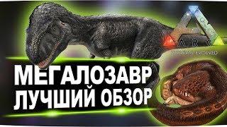 Мегалозавр (Megalosaurus) в АРК. Лучший обзор: приручение, разведение и способности  в ark.