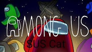 the susy cat