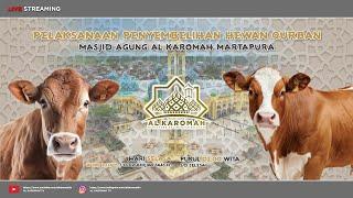 AL KAROMAH TV - LIVE PENYEMBELIHAN HEWAN QURBAN DAN AQIQAH MASJID AGUNG AL KAROMAH MTP | 11 JUNI 24