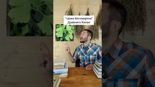 "Трава бессмертия" Древнего Китая #травы #лекарственныерастения #здоровье #здоровьебезлекарств