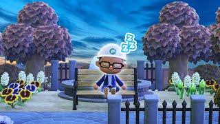 Blue hour | Animal Crossing & Chill