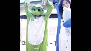 Big scary Dinosaur attacks Penguin (Mina & Jeongyeon)