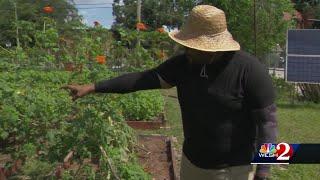 Central Florida farm owners pushing for more diversity in agriculture