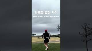 6홀째 기상악화로 중도포기 #golf #golfswing #골프스윙 #키작녀 #골린이 #일상 #구독 #제스타임 #라제스타임 #페어레이디 #아이언 #제스타임서포터즈 #골프치는여자