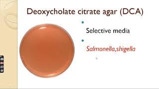 Selective media // Transport media // Differential media // Anaerobic media in hindi