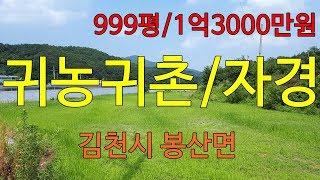 (거래완료)김천대한공인중개사/김천토지땅 김천시 봉산면 땅 999평/1억3000만원 매매/귀농귀촌,텃밭 추천