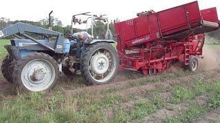 Kartoffelernte - wie in der 80er Jahre, mit Landini 5500 DT und Grimme Kartoffelvollernter!