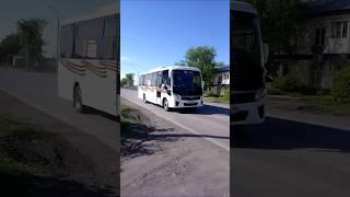 ПАЗ-320455-04 "Vector Next" по маршруту №562л Здвинск-Барабинск-Куйбышев #transport