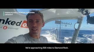 Approaching Martinique | IMOCA on the Transat Jacques Vabre