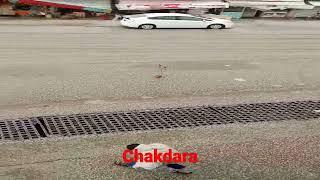 Snowfall in Chakdara #shorts #shortsvideo #ytshorts