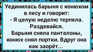 Как Барыня с Конюхом в Лесу Уединилась! Большой Сборник Свежих Смешных Анекдотов!