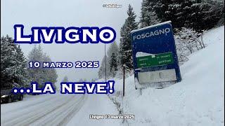 Livigno 10 marzo 2025, sveglia con la neve che cade.