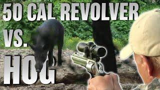 50 cal Smith & Wesson takes out huge feral hog