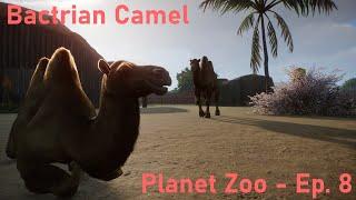Bactrian Camel | Planet Zoo | Franchise Mode | Speedbuild | Ep. 8
