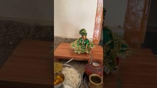 Radha Rani Meri Hai #minivlog #laddugopal #radhakrishna #radha #krishna