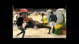 2011-11-06 Sir Hickstead Olympic Showjumper  died in Verona.