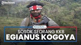 Sosok Egianus Kogoya Pimpinan KKB Yang Dikenal Sadis