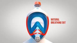 Full Face Snorkeling Mask | Homstery com