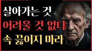 쇼펜하우어의 냉철하지만 따뜻한 인생 조언 | 인간관계 지혜 | 명언 | 너무 애쓰지 마라 | 어차피 흘러간다 | 삶 | 오디오북 | 철학