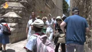 Pilgrimages in the Holy Land