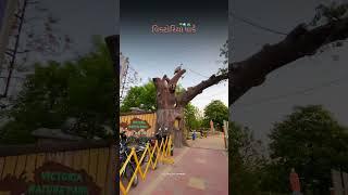 Best place to sit in the evening in Bhavnagar  #bhavnagar #evening