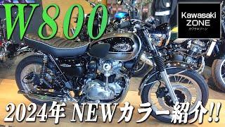 「W800」2024年1月20日発売のNEWカラーをご紹介致します！カワサキゾーン / KAWASAKI ZONE