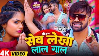 #Video | सेव लेखा लाल गाल | #Vishal_Yadav | #Shilpi_Raj | Sev Lekha Lal Gal | Bhojpuri Song 2024