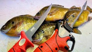 3 Ways to Fillet a Bluegill That Every Panfish Angler Should Know!